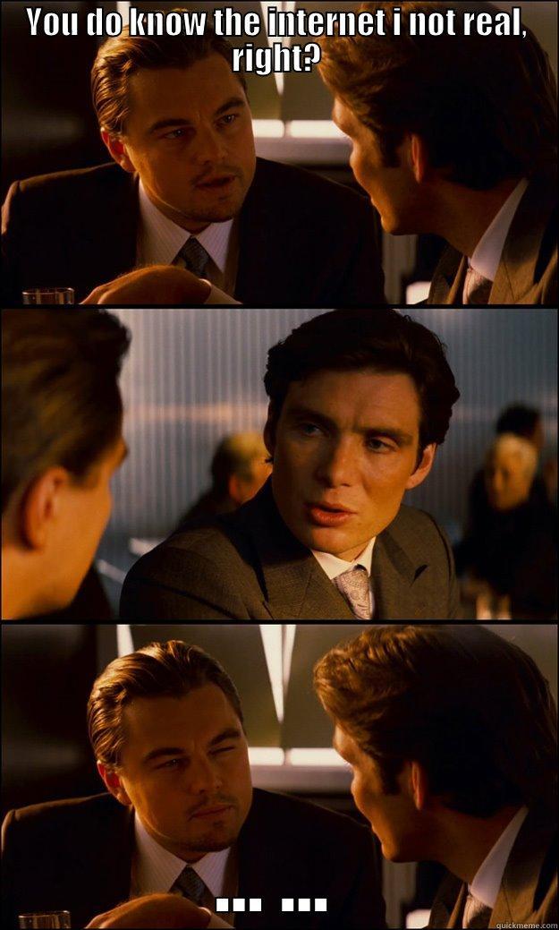 YOU DO KNOW THE INTERNET I NOT REAL, RIGHT? ... ... Inception