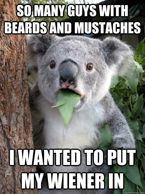 so many guys with beards and mustaches I wanted to put my wiener in  koala bear