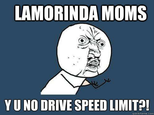 Lamorinda Moms y u no drive speed limit?!  Y U No