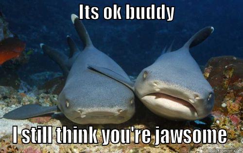                        ITS OK BUDDY                          I STILL THINK YOU'RE JAWSOME Compassionate Shark Friend