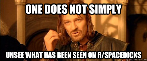 One does not simply unsee what has been seen on r/spacedicks  One Does Not Simply