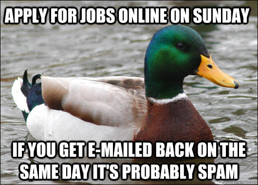 Apply for jobs online on Sunday If you get e-mailed back on the same day it's probably spam  Actual Advice Mallard