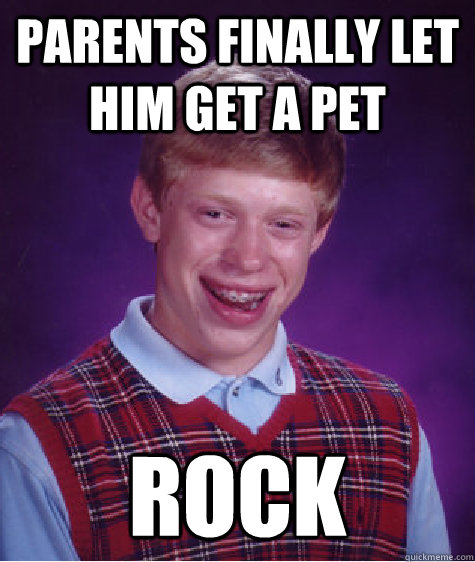 parents finally let him get a pet rock - parents finally let him get a pet rock  Bad Luck Brian