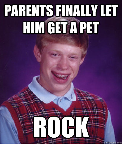 parents finally let him get a pet rock  Bad Luck Brian
