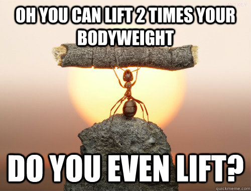 oh you can lift 2 times your bodyweight Do you even lift? - oh you can lift 2 times your bodyweight Do you even lift?  Smug Ant