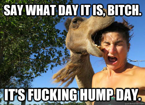 Say what day it is, bitch. It's fucking hump day.  