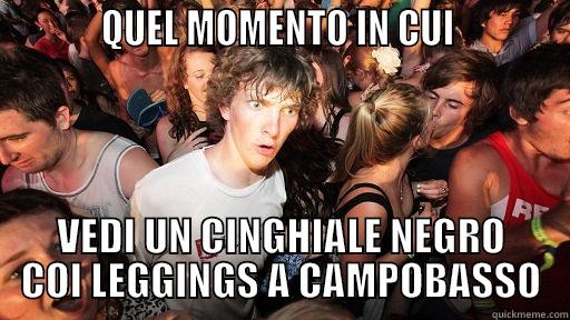           QUEL MOMENTO IN CUI            VEDI UN CINGHIALE NEGRO COI LEGGINGS A CAMPOBASSO Sudden Clarity Clarence