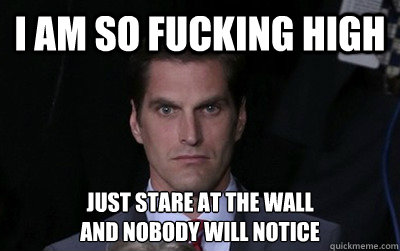 I am so fucking HIGH Just stare at the wall
and nobody will notice - I am so fucking HIGH Just stare at the wall
and nobody will notice  Angry Josh Romney