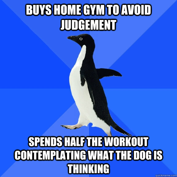 Buys home gym to avoid judgement spends half the workout contemplating what the dog is thinking  Socially Awkward Penguin
