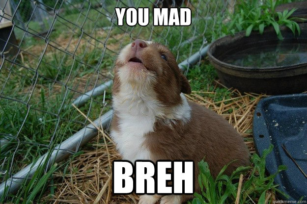 you mad breh  Good Guy Dog