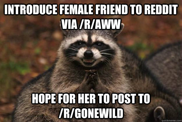 Introduce female friend to reddit via /r/aww Hope for her to post to /r/gonewild - Introduce female friend to reddit via /r/aww Hope for her to post to /r/gonewild  Evil Plotting Raccoon