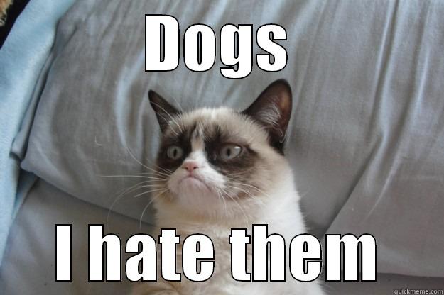 Grumpy Cat - DOGS I HATE THEM Grumpy Cat