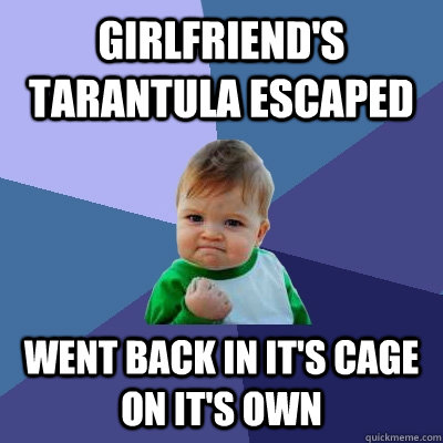 Girlfriend's tarantula escaped Went back in it's cage on it's own  Success Kid