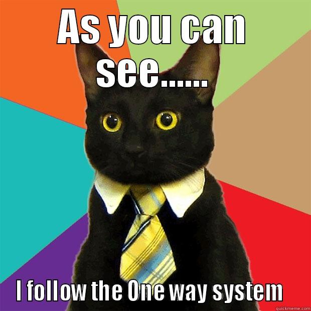 AS YOU CAN SEE...... I FOLLOW THE ONE WAY SYSTEM   Business Cat
