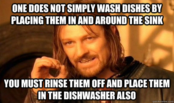 ONE DOES NOT SIMPLY WASH DISHES BY PLACING THEM IN AND AROUND THE SINK you must rinse them off and place them in the dishwasher also  One does not simply beat skyrim
