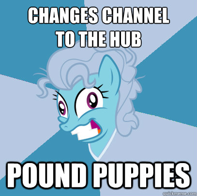 changes channel
to the hub pound puppies  Advice Pony Screwloose