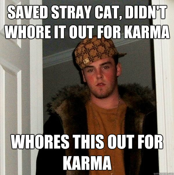 Saved stray cat, didn't whore it out for karma Whores this out for karma - Saved stray cat, didn't whore it out for karma Whores this out for karma  Scumbag Steve