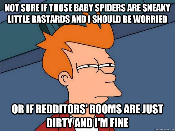 not sure if those baby spiders are sneaky little bastards and I should be worried or if Redditors' rooms are just dirty and I'm fine  Futurama Fry