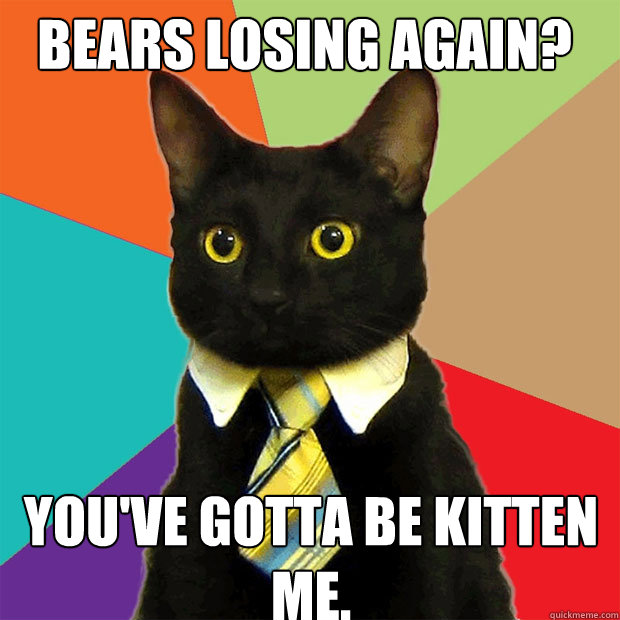 Bears losing again? you've gotta be kitten me.  Business Cat