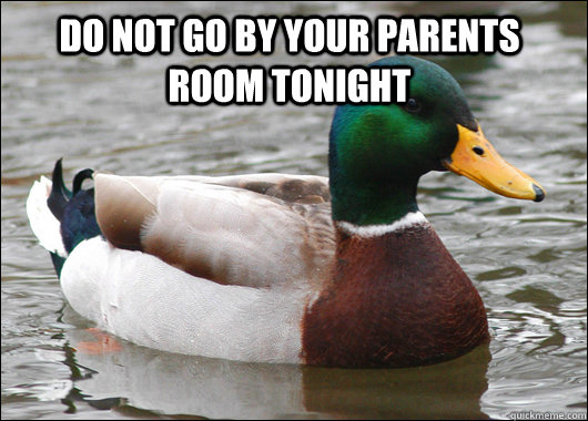 Do not go by your parents room tonight  - Do not go by your parents room tonight   Actual Advice Mallard