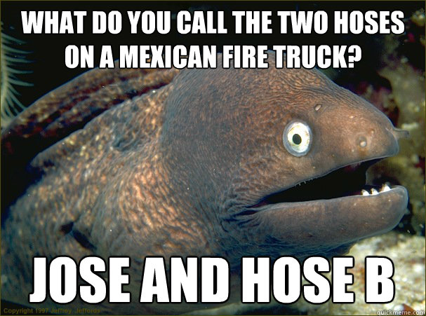 What do you call the two hoses on a mexican fire truck? Jose and hose b  Bad Joke Eel