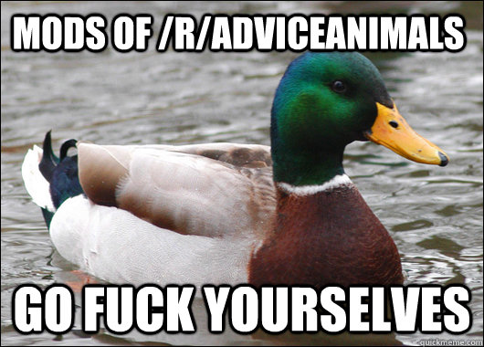 mods of /r/adviceanimals go fuck yourselves  Actual Advice Mallard