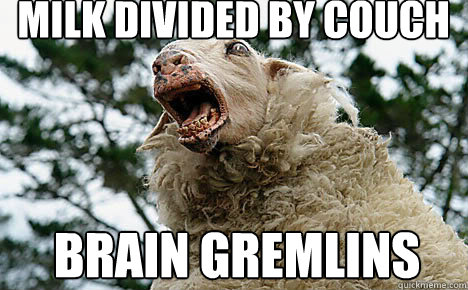 milk divided by couch brain gremlins  Meth Sheep
