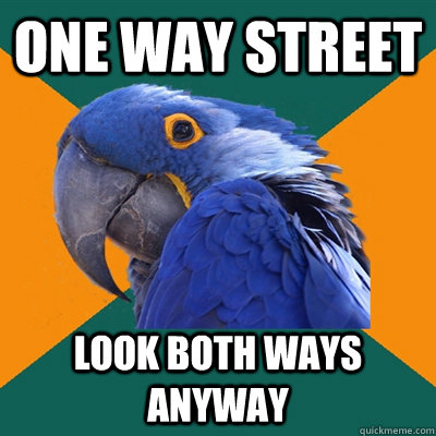 One Way Street Look both ways anyway  Paranoid Parrot