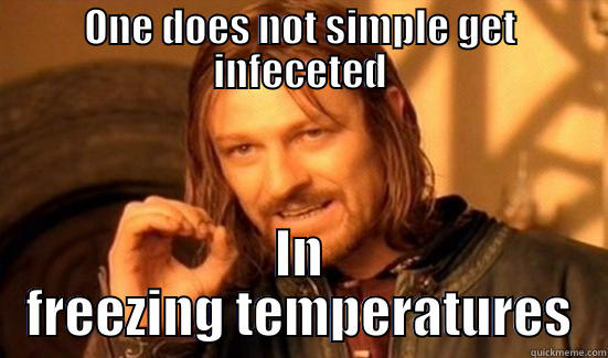 ONE DOES NOT SIMPLE GET INFECETED IN FREEZING TEMPERATURES Boromir