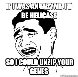 If i was an enzyme, i’d be helicase  so i could unzip your genes  Meme