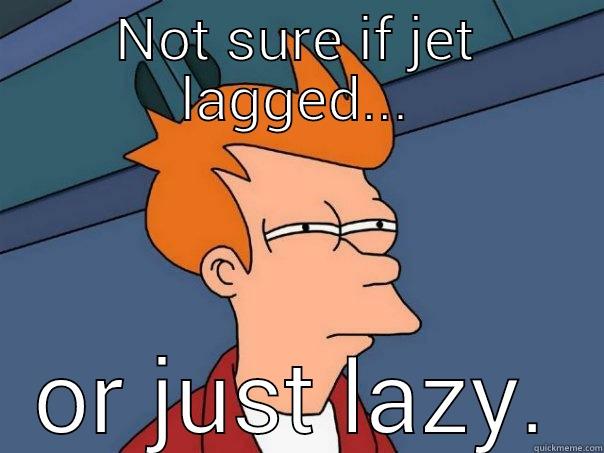 jet lag or lazy - NOT SURE IF JET LAGGED... OR JUST LAZY. Futurama Fry
