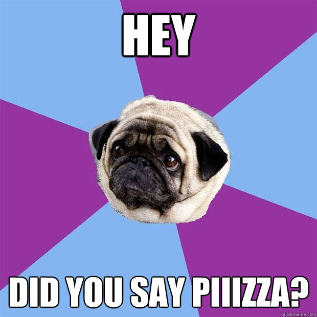Hey Did you say Piiizza?  Lonely Pug