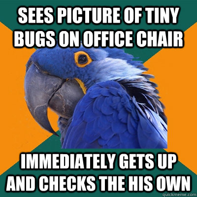 sees picture of tiny bugs on office chair Immediately gets up and checks the his own - sees picture of tiny bugs on office chair Immediately gets up and checks the his own  Paranoid Parrot