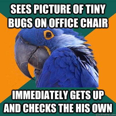 sees picture of tiny bugs on office chair Immediately gets up and checks the his own  Paranoid Parrot