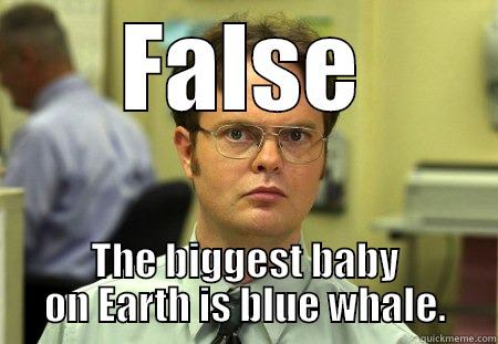 bluuue whale - FALSE THE BIGGEST BABY ON EARTH IS BLUE WHALE. Schrute