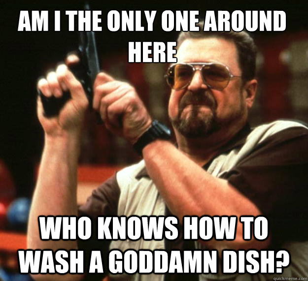Am I the only one around here Who knows how to wash a goddamn dish?  Walter
