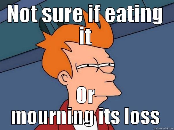 NOT SURE IF EATING IT OR MOURNING ITS LOSS Futurama Fry