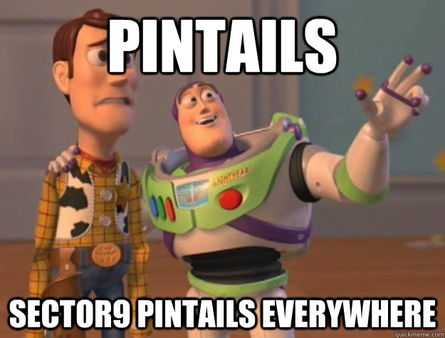 pintails sector9 pintails everywhere - pintails sector9 pintails everywhere  Buzz Lightyear