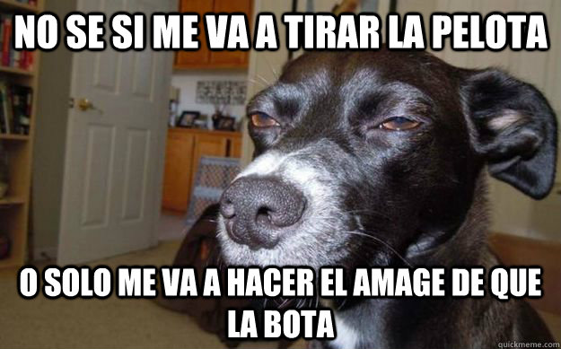 NO SE SI ME VA A TIRAR LA PELOTA O SOLO ME VA A HACER EL AMAGE DE QUE LA BOTA - NO SE SI ME VA A TIRAR LA PELOTA O SOLO ME VA A HACER EL AMAGE DE QUE LA BOTA  Skeptical Mutt