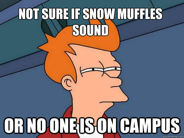 Not sure if snow muffles sound or no one is on campus  Futurama Fry