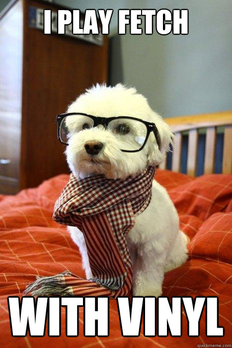 I play fetch With vinyl  Hipster Dog