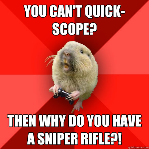 You can't Quick-scope? Then why do you have a sniper rifle?!  Gaming Gopher