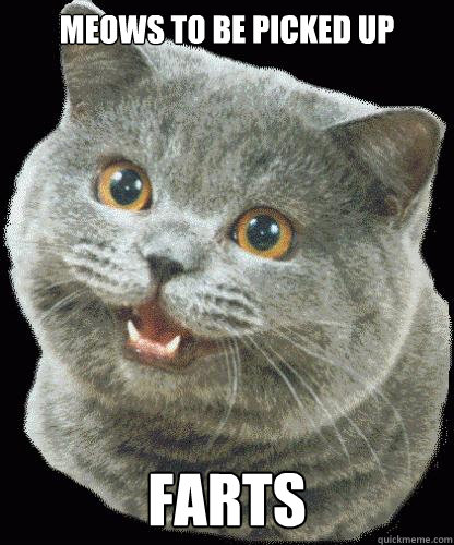 MEOWS TO BE PICKED UP FARTS - MEOWS TO BE PICKED UP FARTS  HappyCat