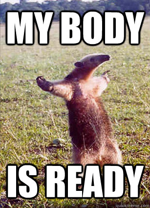 MY BODY IS READY  Defiace Anteater