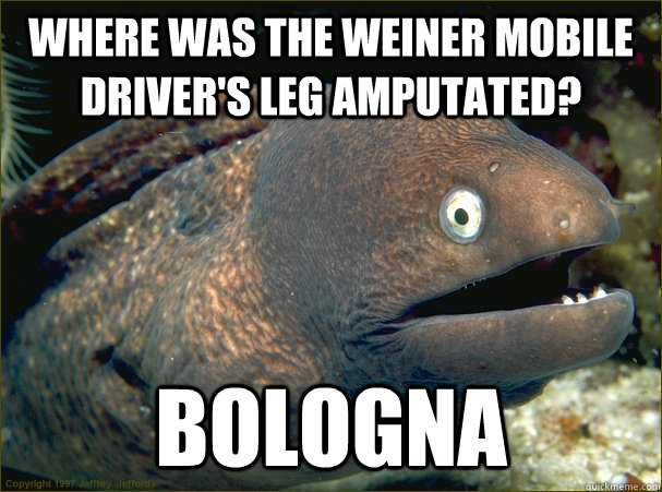 Where was the Weiner Mobile driver's leg amputated? bologna - Where was the Weiner Mobile driver's leg amputated? bologna  Bad Joke Eel