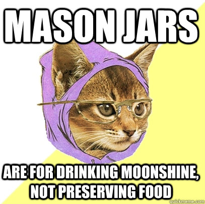 Mason Jars Are for drinking moonshine, not preserving food  Hipster Kitty