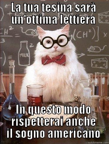LA TUA TESINA SARÀ UN'OTTIMA LETTIERA IN QUESTO MODO RISPETTERAI ANCHE IL SOGNO AMERICANO Chemistry Cat
