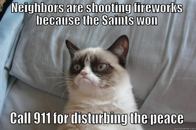Noisy Neighbors - NEIGHBORS ARE SHOOTING FIREWORKS BECAUSE THE SAINTS WON CALL 911 FOR DISTURBING THE PEACE Grumpy Cat