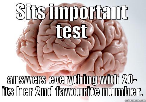 SITS IMPORTANT TEST ANSWERS EVERYTHING WITH 20- ITS HER 2ND FAVOURITE NUMBER. Scumbag Brain