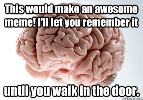 This would make an awesome meme! I'll let you remember it until you walk in the door.  Scumbag Brain